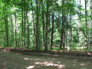 Thumbnail Photo #7 of Parcel 67, in Rose Lake Township, Osceola County, near Leroy and Tustin, Michigan