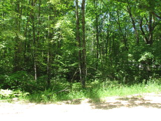 Thumbnail Photo #2 of Parcel 75E, in Rose Lake Township, Osceola County, near Leroy and Tustin, Michigan