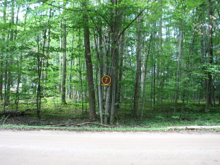 Thumbnail Photo #1 of Parcel 7NW, in Rose Lake Township, Osceola County, near Leroy and Tustin, Michigan, 49655