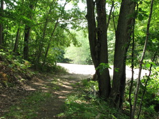 Thumbnail Photo #3 of Parcel 91, in Rose Lake Township, Osceola County, near Leroy and Tustin, Michigan