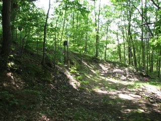 Thumbnail Photo #8 of Parcel 91, in Rose Lake Township, Osceola County, near Leroy and Tustin, Michigan