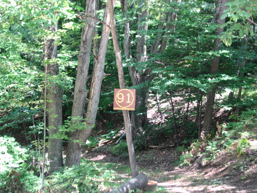 Photo # of Parcel 91, in Rose Lake Township, Osceola County, near Leroy and Tustin, Michigan