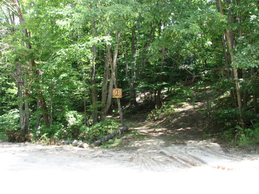Photo # of Parcel 91, in Rose Lake Township, Osceola County, near Leroy and Tustin, Michigan