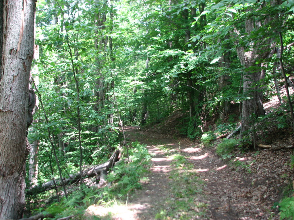Photo # of Parcel 91, in Rose Lake Township, Osceola County, near Leroy and Tustin, Michigan