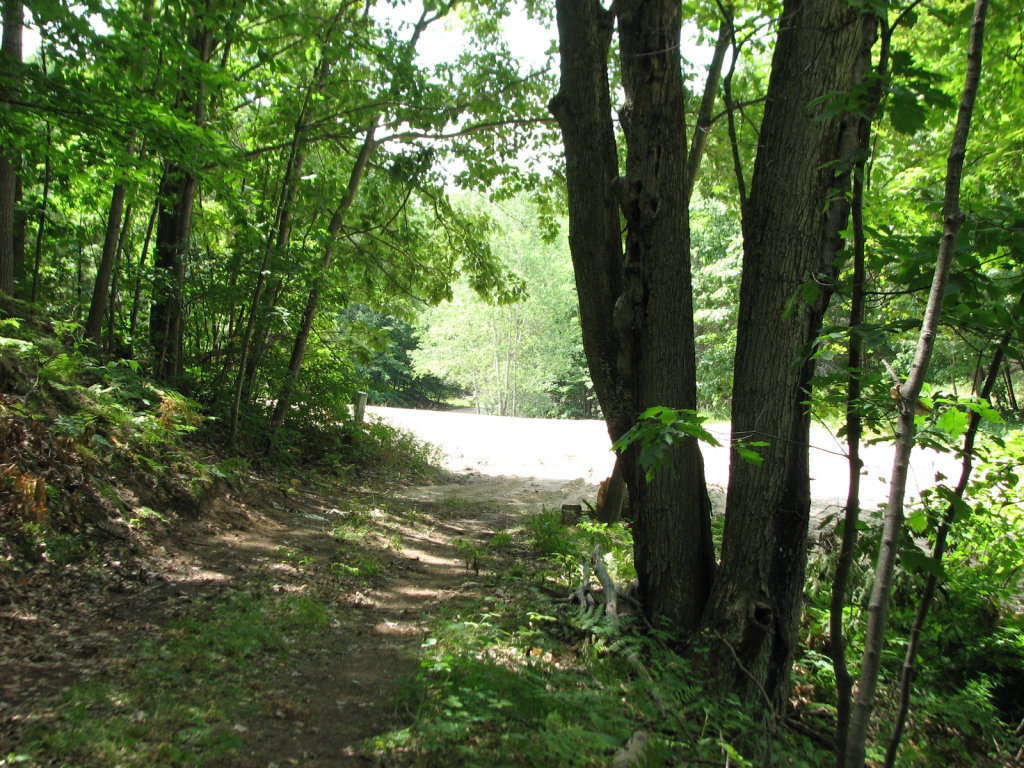 Photo # of Parcel 91, in Rose Lake Township, Osceola County, near Leroy and Tustin, Michigan