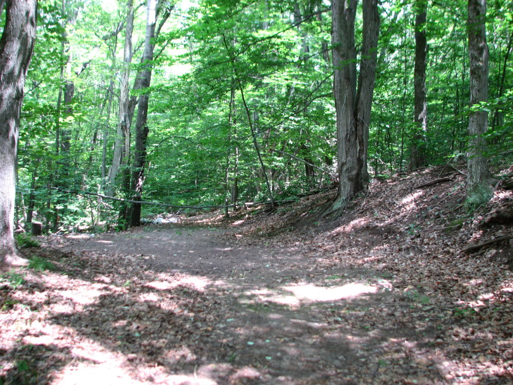 Photo # of Parcel 91, in Rose Lake Township, Osceola County, near Leroy and Tustin, Michigan