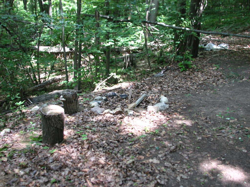 Photo # of Parcel 91, in Rose Lake Township, Osceola County, near Leroy and Tustin, Michigan