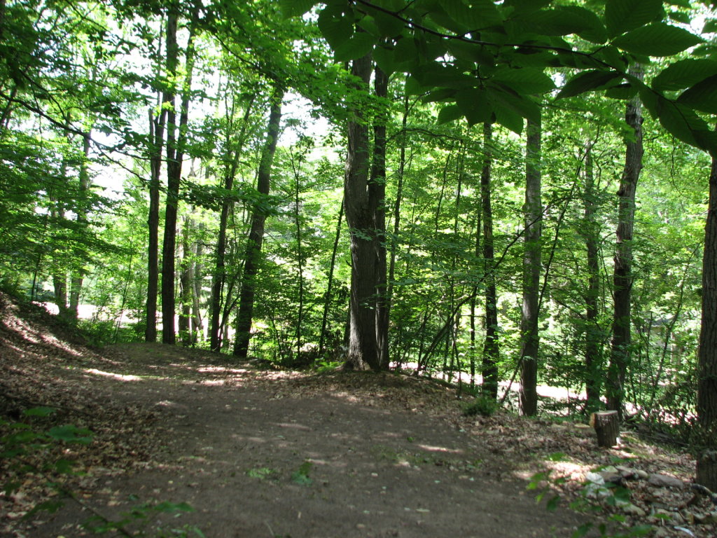 Photo # of Parcel 91, in Rose Lake Township, Osceola County, near Leroy and Tustin, Michigan