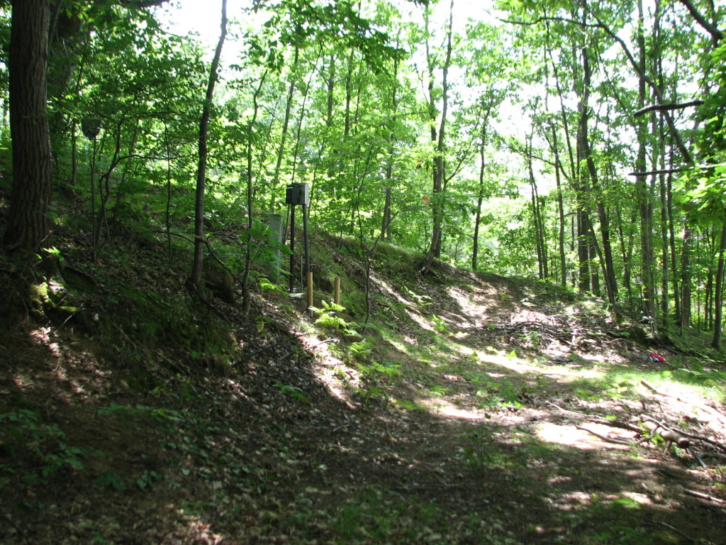 Photo # of Parcel 91, in Rose Lake Township, Osceola County, near Leroy and Tustin, Michigan