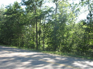 Thumbnail Photo #1 of Parcel C1, in Surrey Township, Clare County, near Farwell, Michigan