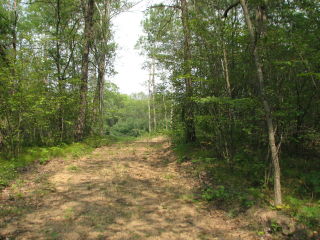 Thumbnail Photo #3 of Parcel C1, in Surrey Township, Clare County, near Farwell, Michigan