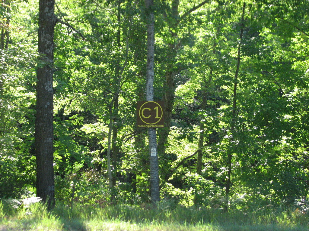 Photo # of Parcel C1, in Surrey Township, Clare County, near Farwell, Michigan