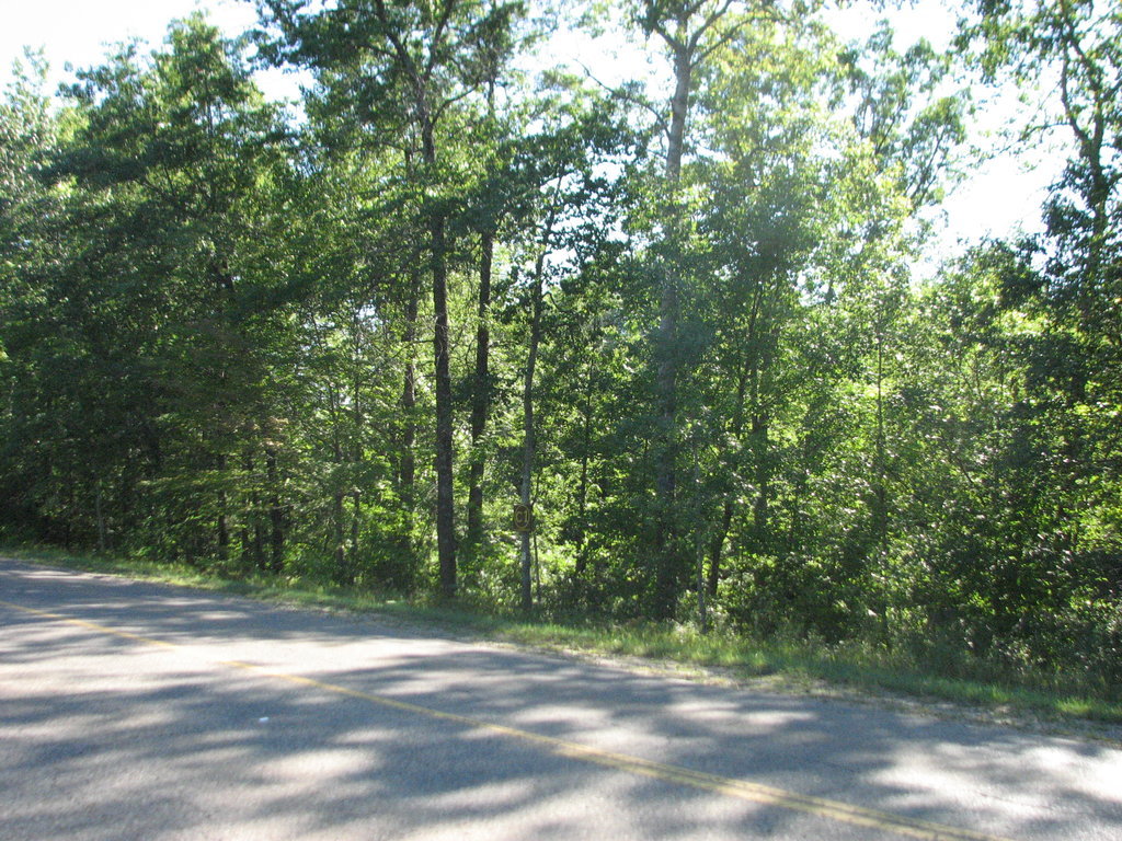 Photo # of Parcel C1, in Surrey Township, Clare County, near Farwell, Michigan