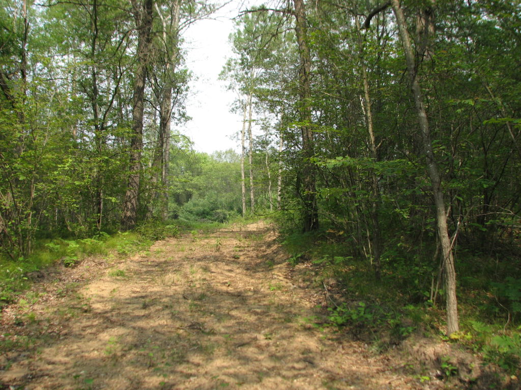 Photo # of Parcel C1, in Surrey Township, Clare County, near Farwell, Michigan