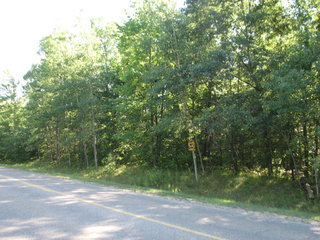 Thumbnail Photo #1 of Parcel C2, in Surrey Township, Clare County, near Farwell, Michigan, 48622