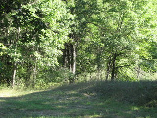 Thumbnail Photo #10 of Parcel C2, in Surrey Township, Clare County, near Farwell, Michigan