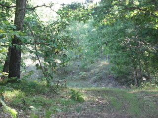 Thumbnail Photo #11 of Parcel C2, in Surrey Township, Clare County, near Farwell, Michigan