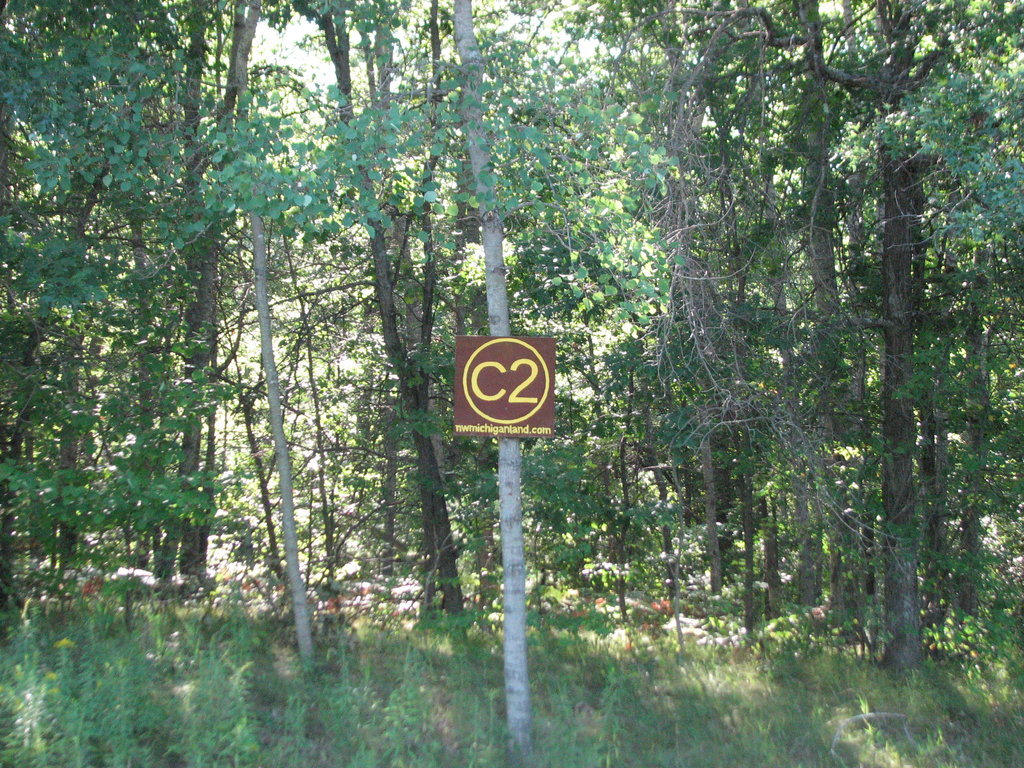 Photo # of Parcel C2, in Surrey Township, Clare County, near Farwell, Michigan