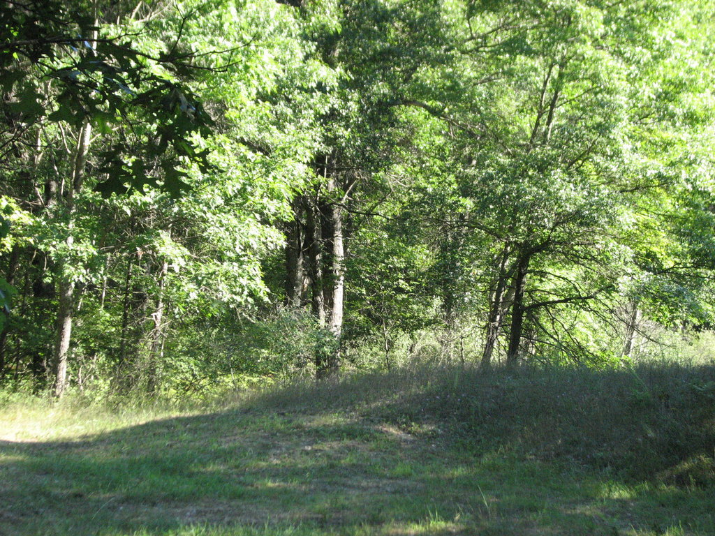 Photo # of Parcel C2, in  Township,  County, near , Michigan