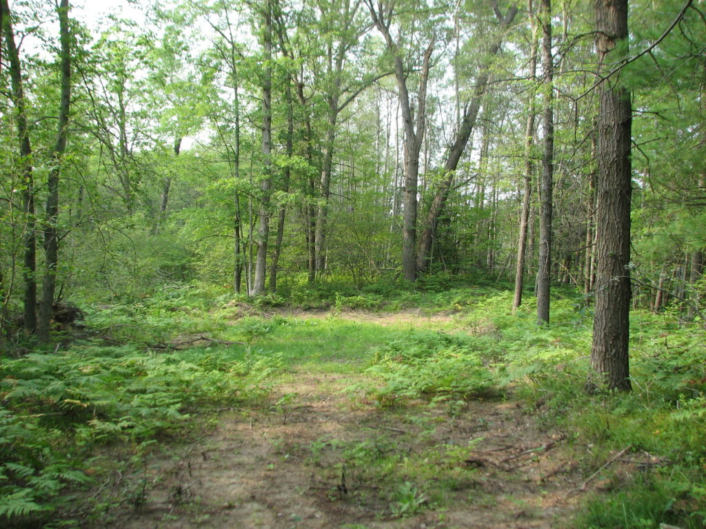 Photo # of Parcel C2, in Surrey Township, Clare County, near Farwell, Michigan