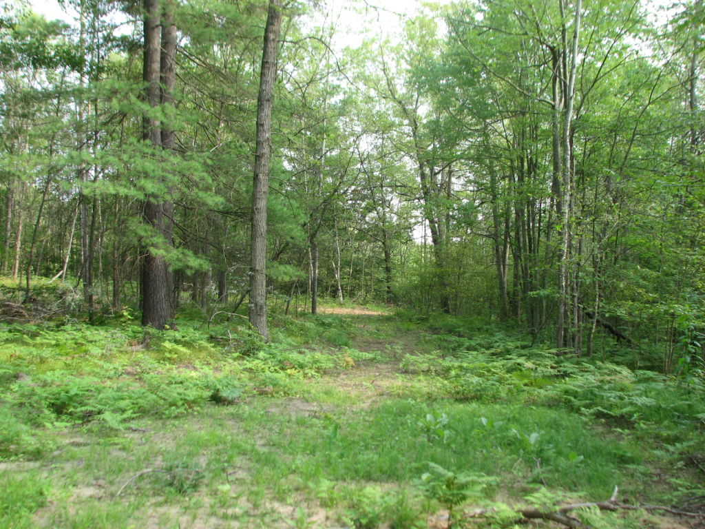 Photo # of Parcel C2, in Surrey Township, Clare County, near Farwell, Michigan