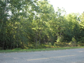 Thumbnail Photo #1 of Parcel C4, in Surrey Township, Clare County, near Farwell, Michigan, 48622
