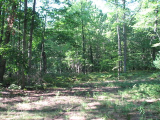 Thumbnail Photo #12 of Parcel C4, in Surrey Township, Clare County, near Farwell, Michigan