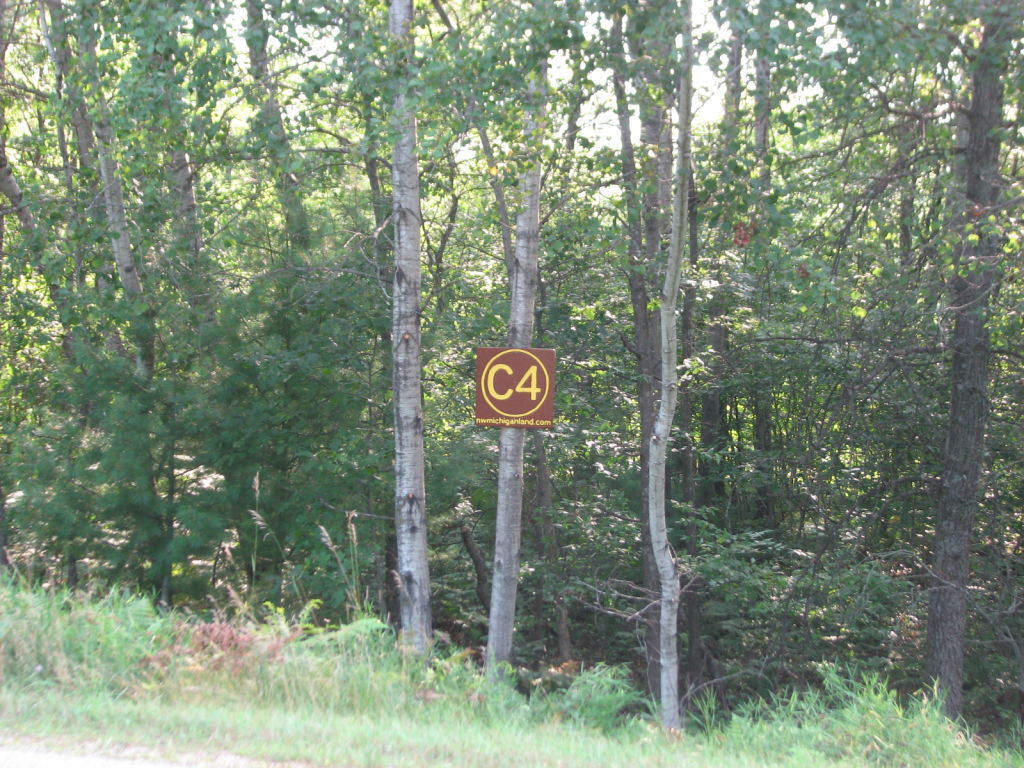 Photo # of Parcel C4, in Surrey Township, Clare County, near Farwell, Michigan