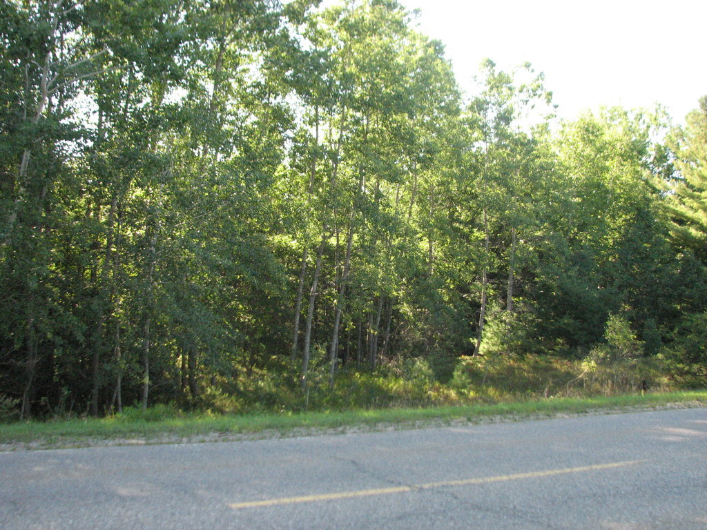 Photo # of Parcel C4, in Surrey Township, Clare County, near Farwell, Michigan