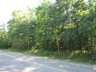 Thumbnail Photo #0 of Parcel C5, in Surrey Township, Clare County, near Farwell, Michigan, 48622