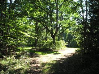 Thumbnail Photo #4 of Parcel C5, in Surrey Township, Clare County, near Farwell, Michigan