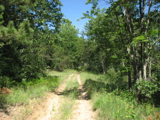 Thumbnail Photo #1 of Parcel J1, in Ellsworth Township, Lake County, near Luther, Michigan