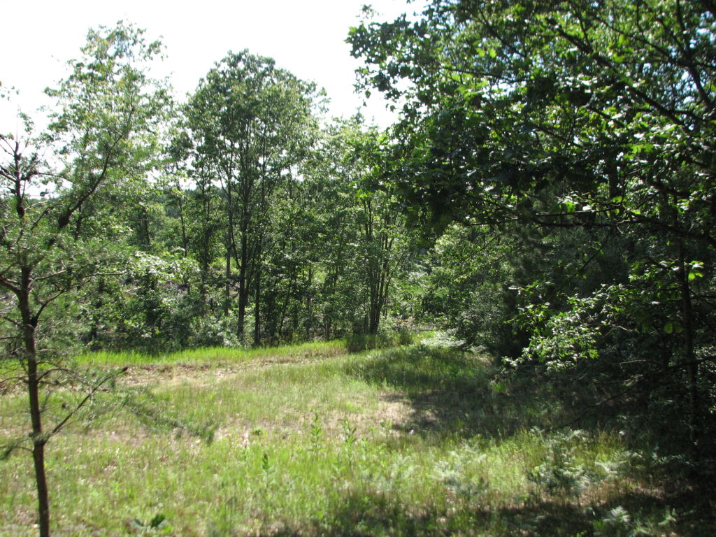 Photo # of Parcel J1, in Ellsworth Township, Lake County, near Luther, Michigan