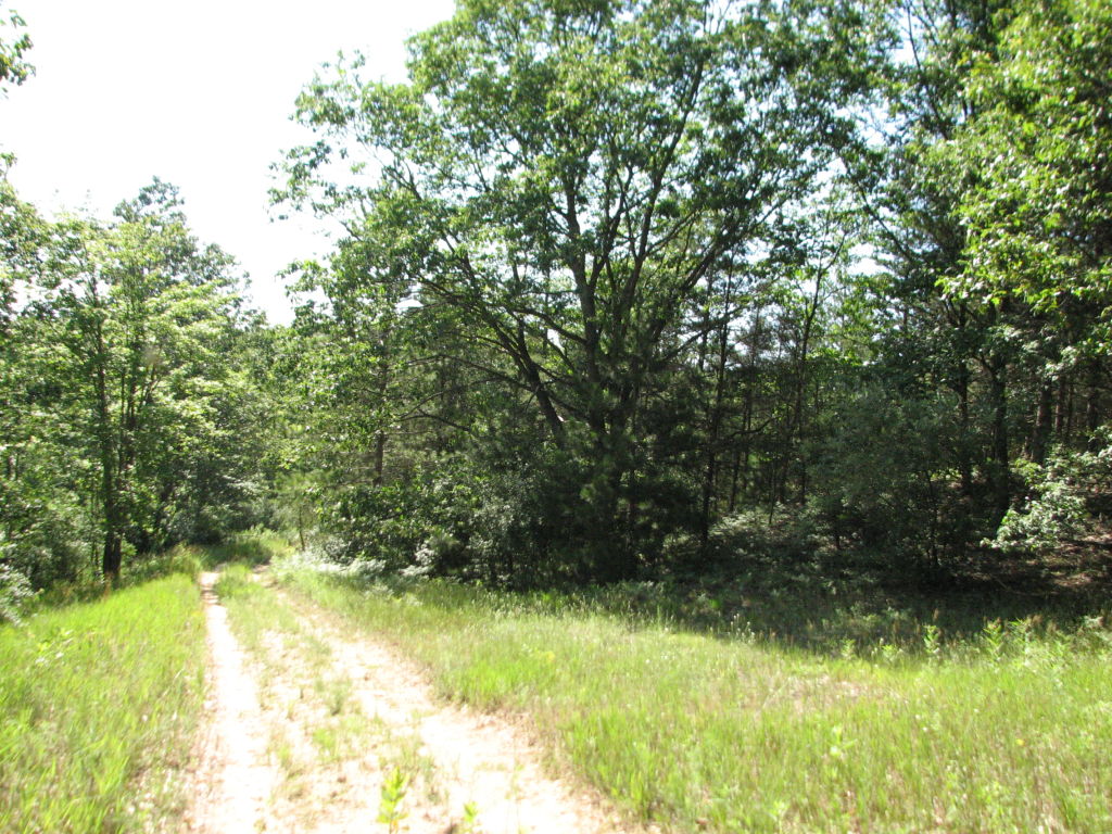 Photo # of Parcel J1, in Ellsworth Township, Lake County, near Luther, Michigan