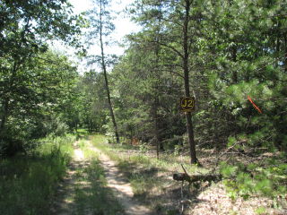 Thumbnail Photo #0 of Parcel J2, in Ellsworth Township, Lake County, near Luther, Michigan