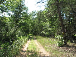 Thumbnail Photo #1 of Parcel J2, in Ellsworth Township, Lake County, near Luther, Michigan