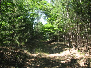 Thumbnail Photo #7 of Parcel J2, in Ellsworth Township, Lake County, near Luther, Michigan