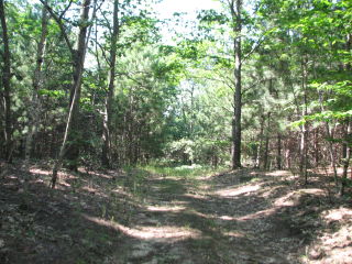 Thumbnail Photo #8 of Parcel J2, in Ellsworth Township, Lake County, near Luther, Michigan