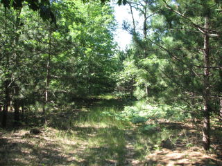 Thumbnail Photo #9 of Parcel J2, in Ellsworth Township, Lake County, near Luther, Michigan