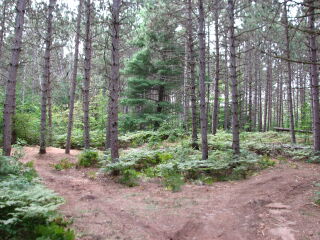 Thumbnail Photo #9 of Parcel K1, in Rose Lake Township, Osceola County, near Leroy, Michigan