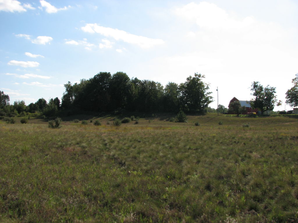Photo # of Parcel N1, in Leroy Township, Osceola County, near Le Roy, Michigan