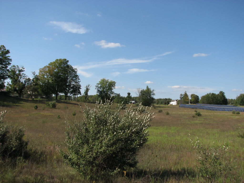 Photo # of Parcel N1, in Leroy Township, Osceola County, near Le Roy, Michigan