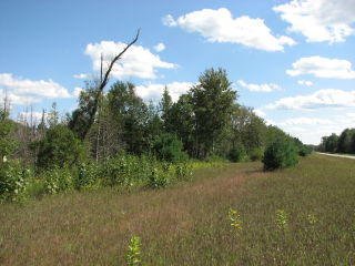 Thumbnail Photo #1 of Parcel N9, in Leroy Township, Osceola County, near Le Roy, Michigan, 49655