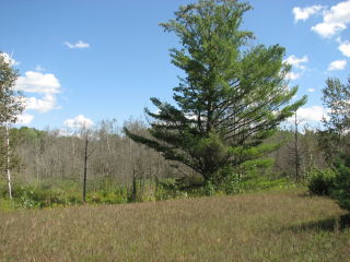 Thumbnail Photo #2 of Parcel N9, in Leroy Township, Osceola County, near Le Roy, Michigan