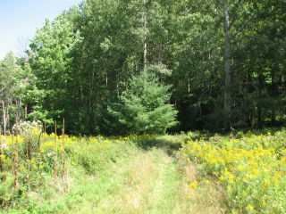 Thumbnail Photo #4 of Parcel N9, in Leroy Township, Osceola County, near Le Roy, Michigan