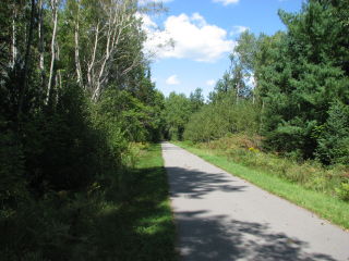 Thumbnail Photo #6 of Parcel N9, in Leroy Township, Osceola County, near Le Roy, Michigan