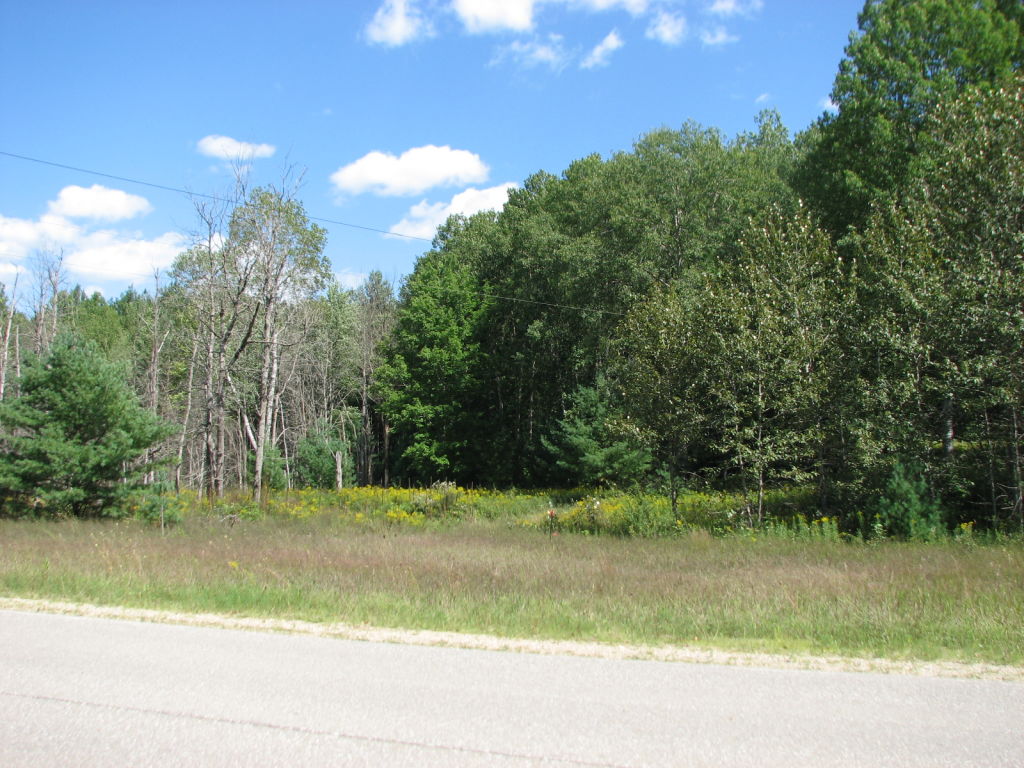 Photo # of Parcel N9, in Leroy Township, Osceola County, near Le Roy, Michigan