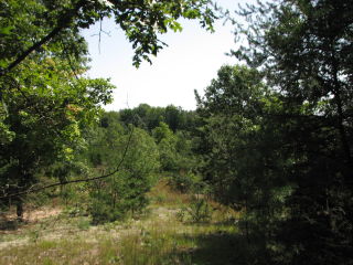 Thumbnail Photo #3 of Parcel P1, in Ellsworth Township, Lake County, near Luther, Michigan