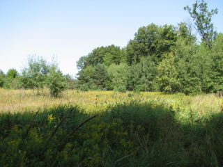 Thumbnail Photo #11 of Parcel P5, in Ellsworth Township, Lake County, near Luther, Michigan