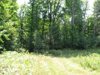 Thumbnail Photo #5 of Parcel P5, in Ellsworth Township, Lake County, near Luther, Michigan